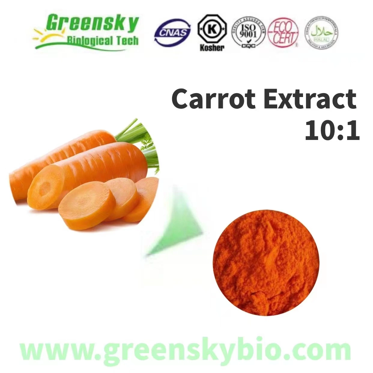 Carrot Extract 10: 1 Daucus Carota Linn. Red or Red-Brown Powder Root High Quality Plant Extract Herbal Extract Pure Natural Food Additives