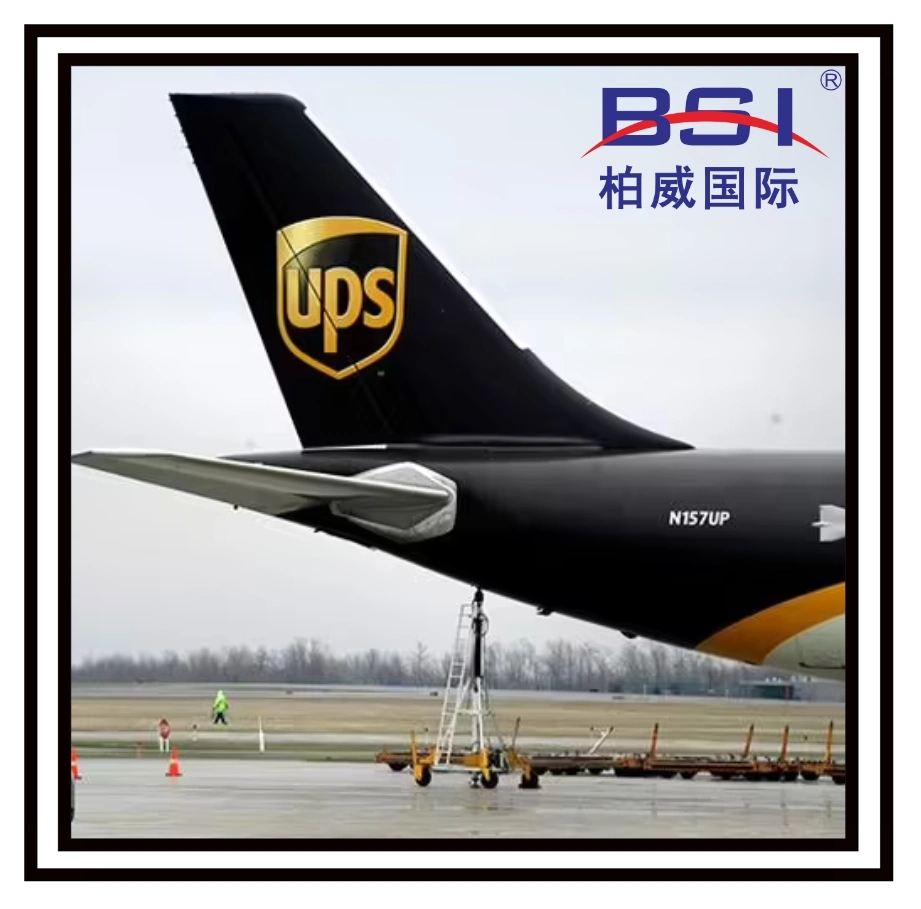 Safe and Fast China vers USA NT/DHL/UPS/FedEx, livraison express