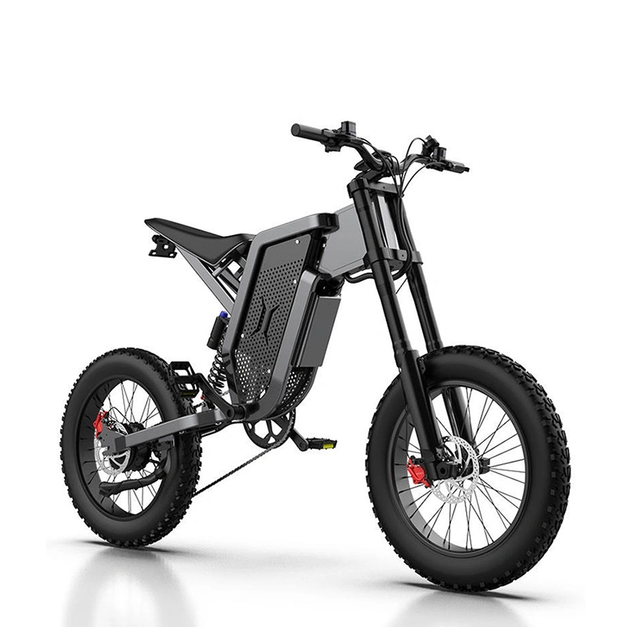 Электрический велосипед 500 Вт 7 скорость 20" *4 шины горы Передний амортизатор Ebike, E-Bike