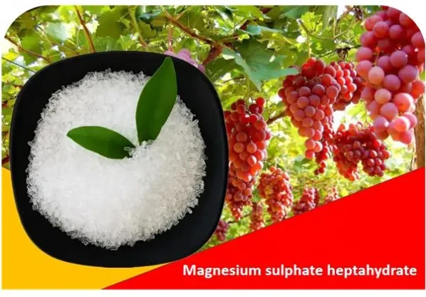 99% Min Magnesiumsulfat Heptahydrat Epsom Bad Salz Bulk 10034-99-8 Natriumsulfat, Wasserfreies Sulfat, Produkt 6,5