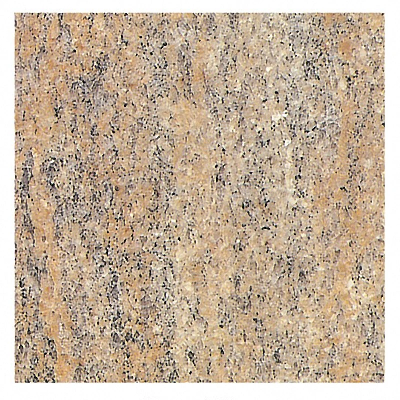 Polished/Flamed Granite for Floor/Wall/Outdoor Slabs/Tile/Countertops/Sta