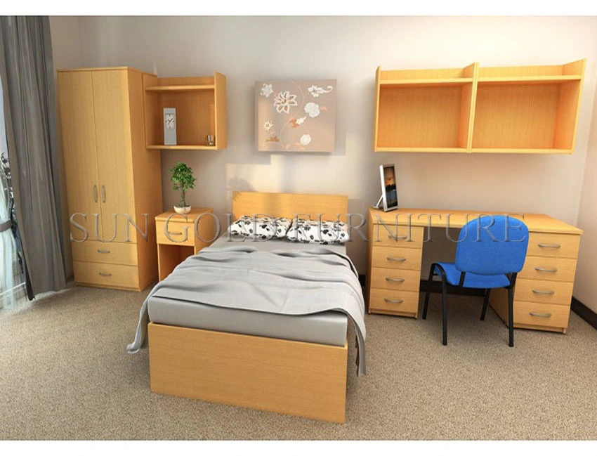 Contemporary Smart Kid Bedroom Furniture with Children Cabinet (SZ-BF161)