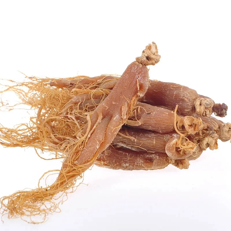 Ginseng Extract with Best Price on Sale