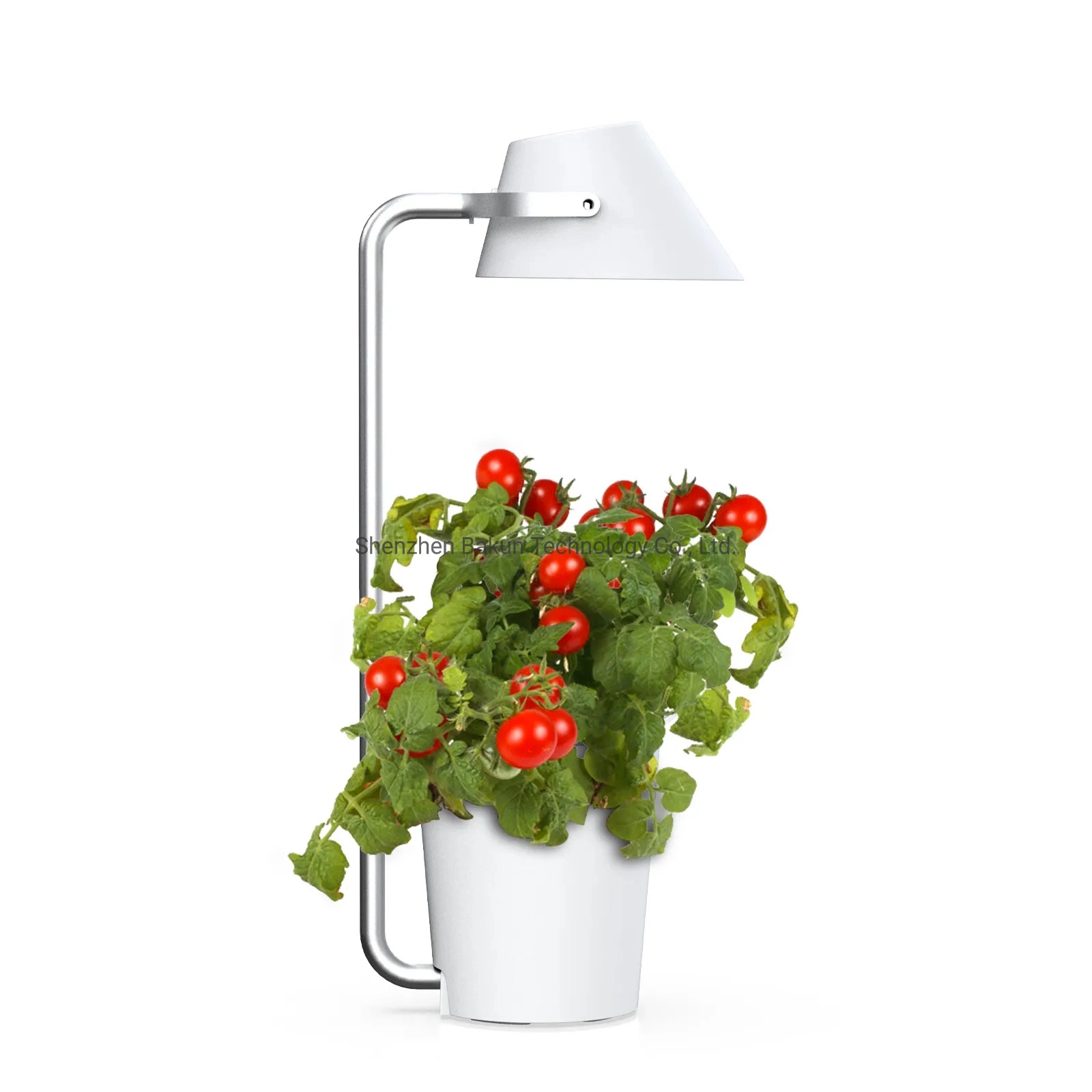 3 Pot Indoor Strawberries LED Grow Hydroponic Growing System Full Spectrum for Sale