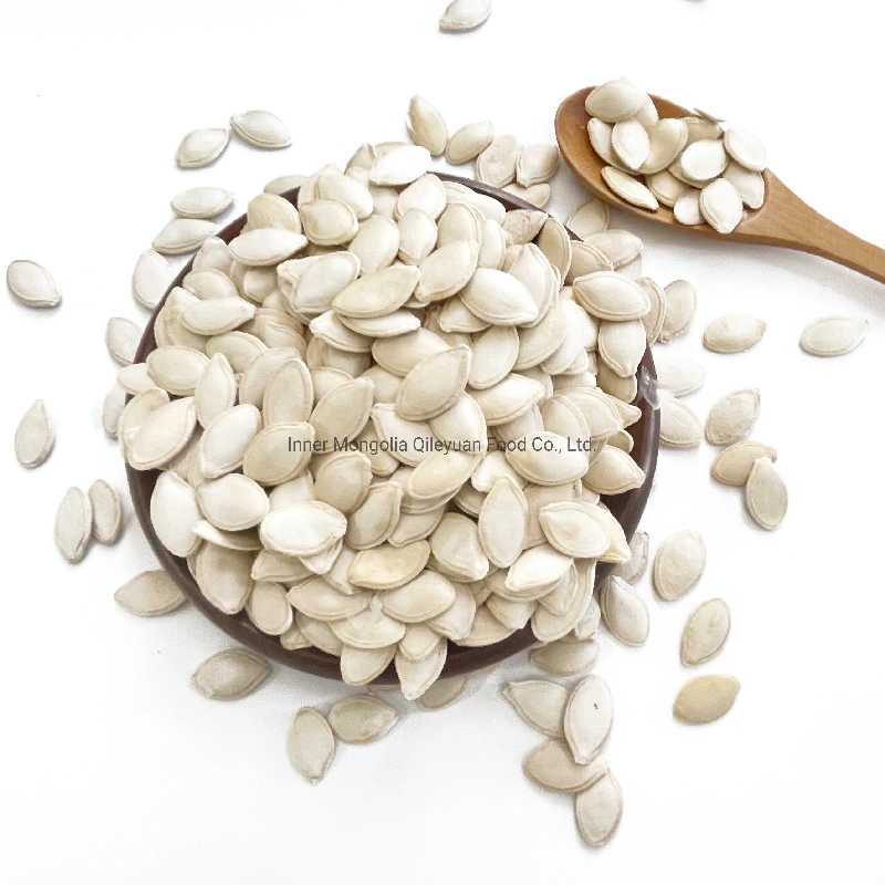 Inner Mongolia Direct Sale Factory New Crop Pumpkin Seeds