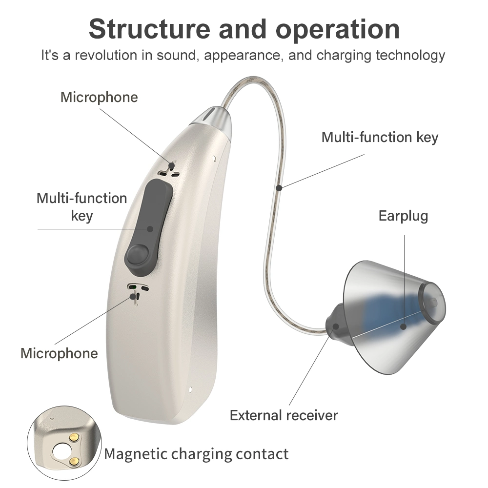 Rechargeable Behind The Hearing Products Ear Aid Audio Service Deaf-Aid Manufacturing Ric Digital Hearing Aids