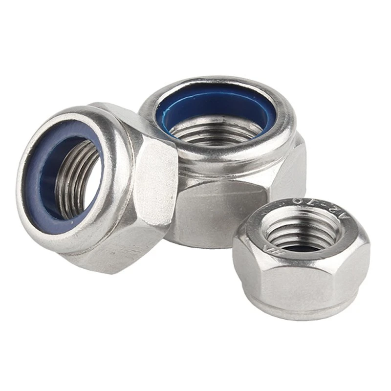 Stainless Steel Hex Nylon Insert Lock Nut Self-Locking Lock Nut