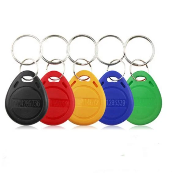 Inventory 125kHz RFID ABS Waterproof 134.2kHz Keyfob Plastic Key Tag with Keychain