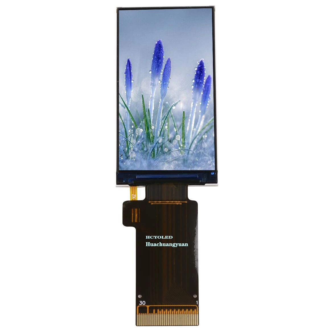 Compact 1.9-Inch Color Can with Touch Panel TFT LCD Screen and 170X320 Resolution