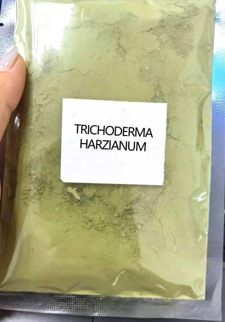 Upcrop Shield Up_Tricho_Wettable Powder – Biologisches Fungizid Trichoderma Harzianum Powder Hersteller Aus Indien