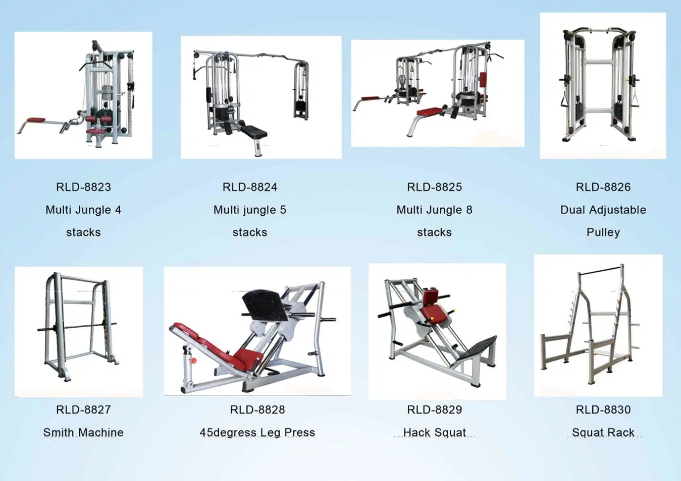 China Manufacturer Gym Equipment Chest Press/Fitness Equipment Life Biceps Curl for Gym