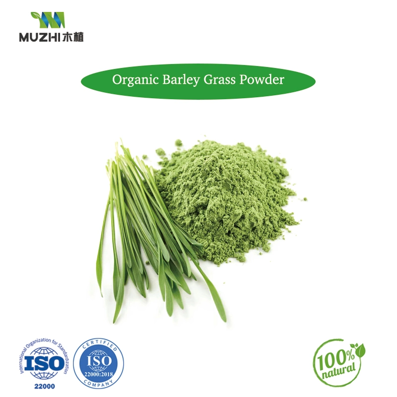 Barley Grass Powder Natural Herbal Plant Extract