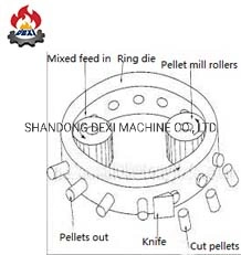 2023 Hot Sell New Design Vertical Double Ring-Die Pellet Mill