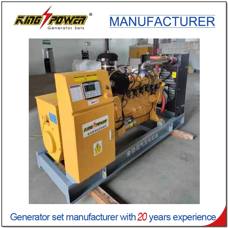 81kw Professional Supplier of Silent Natural Gas CNG LPG Generator