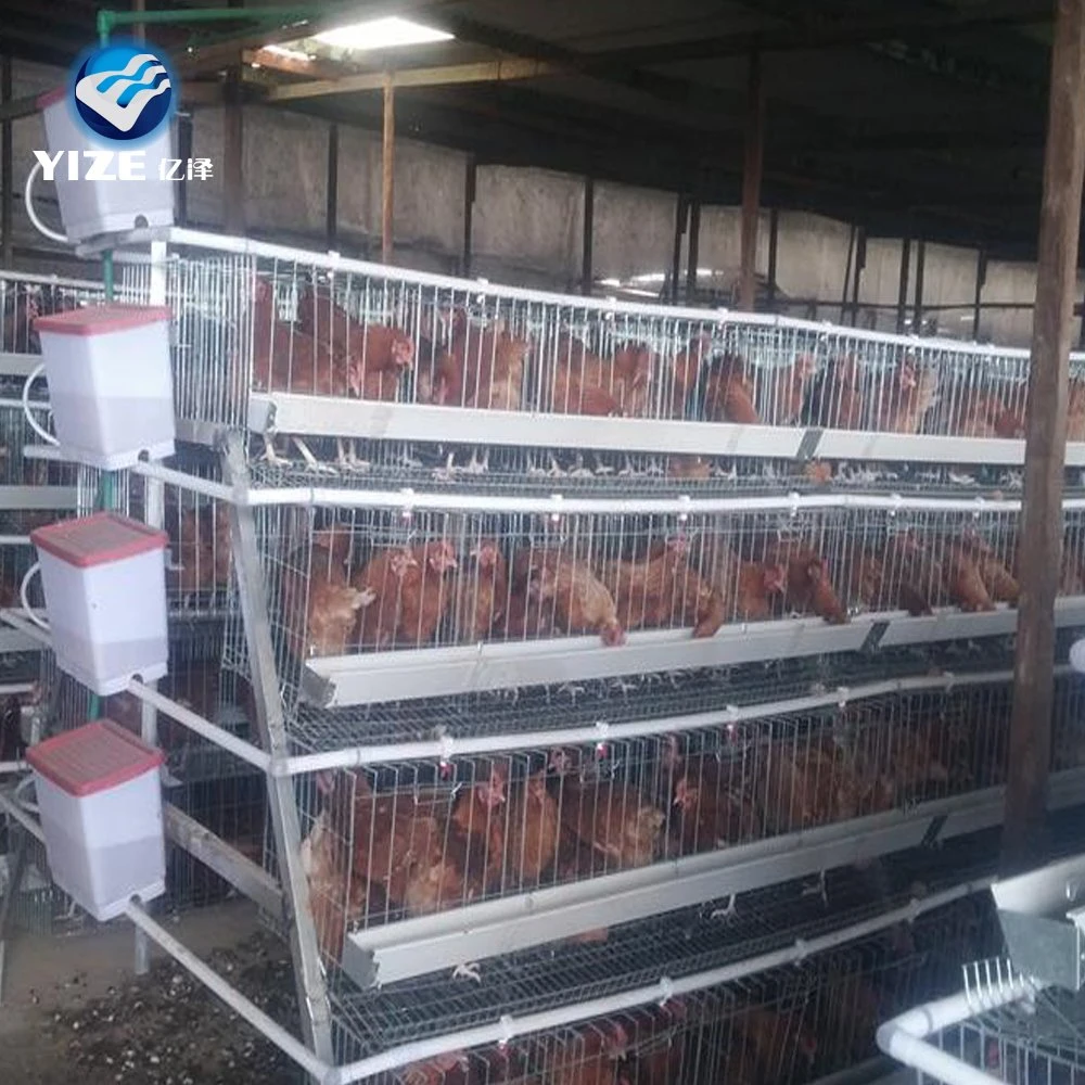 Battery Cages for Poultry Chicken Layer for Broilers and Baby Chicks