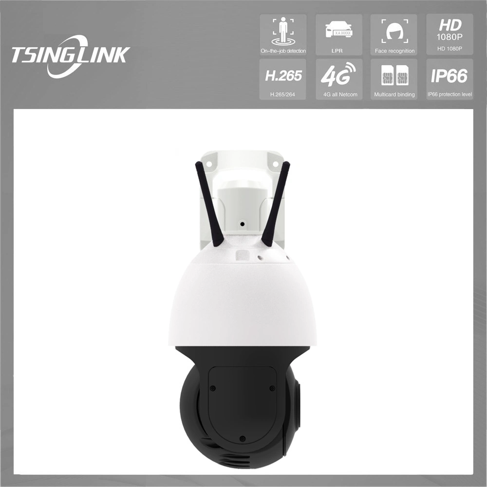 Auto Switch Infrared Color Vision Megapixel High Speed Dome 360 PTZ Weatherproof 4G Security Camera