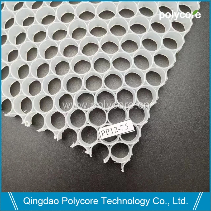 PP Honeycomb Core (PP12) para purificar el aire