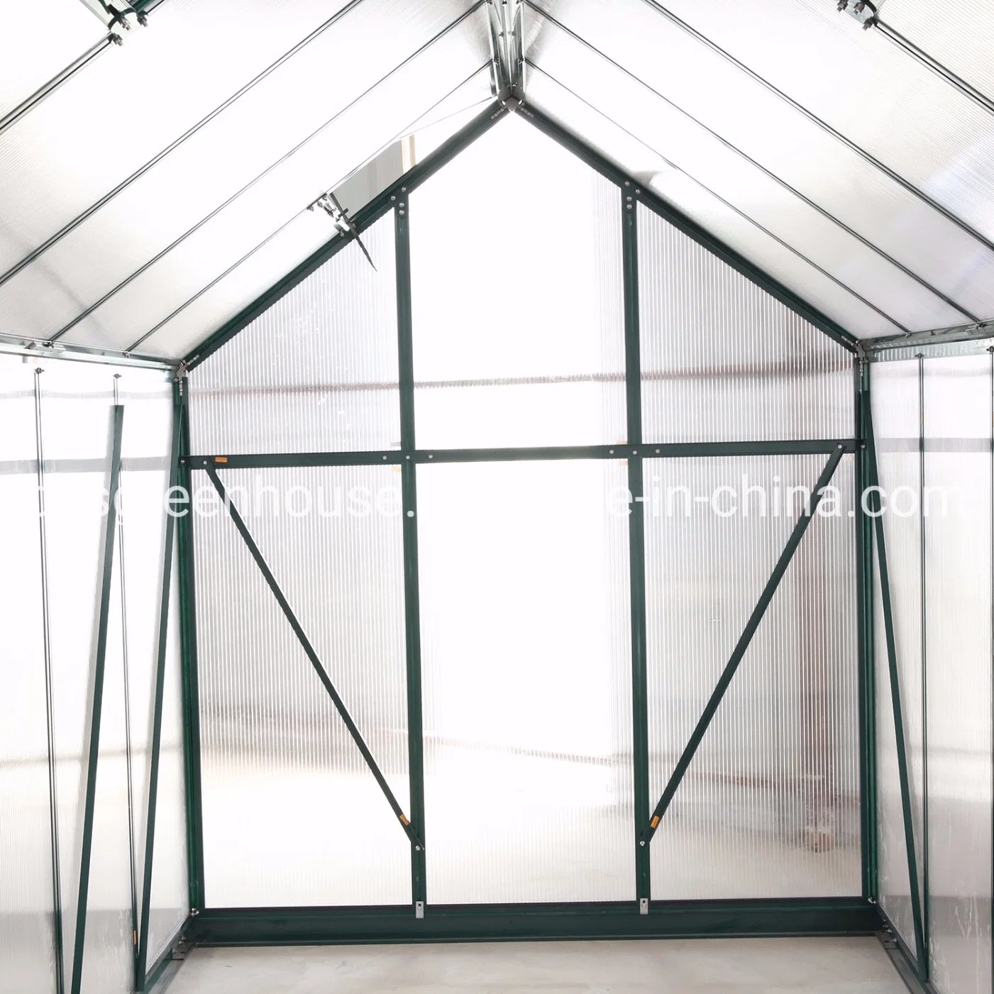 Beautiful Design Home Garden Use PC Greenhouse Polycarbonate Natural Greenhouses (RDGU-PLUS2-10mm)