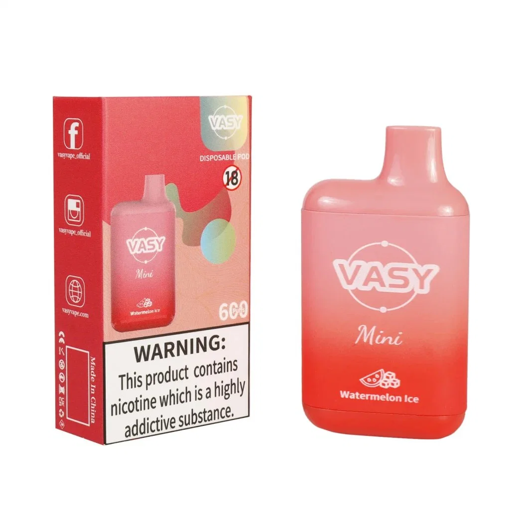 Wholesale/Supplier Vasy Mini 600 Puff Disposable/Chargeable Vape Bar German etc. Packaging