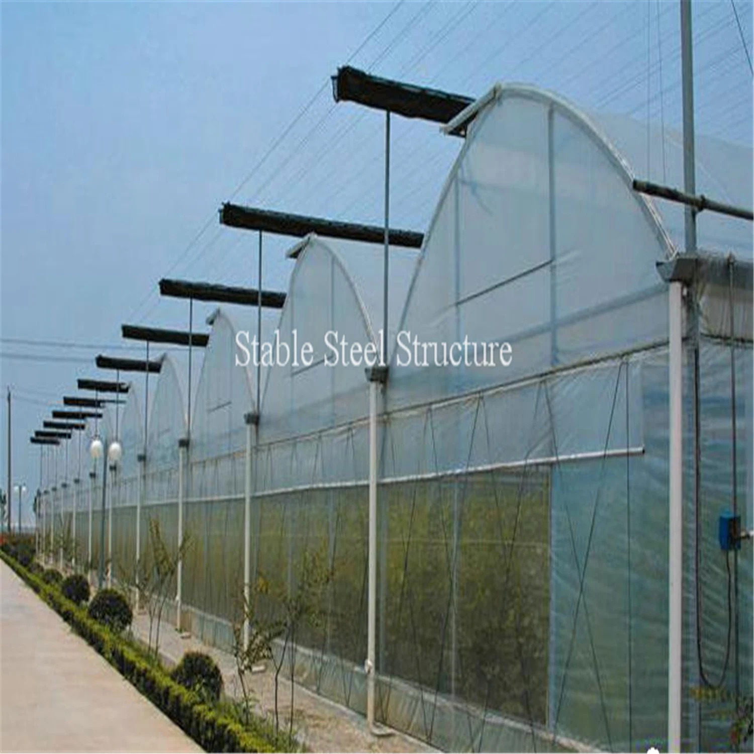 High quality/High cost performance  Plastic Film Green House for Planting Vegetables and Fruits