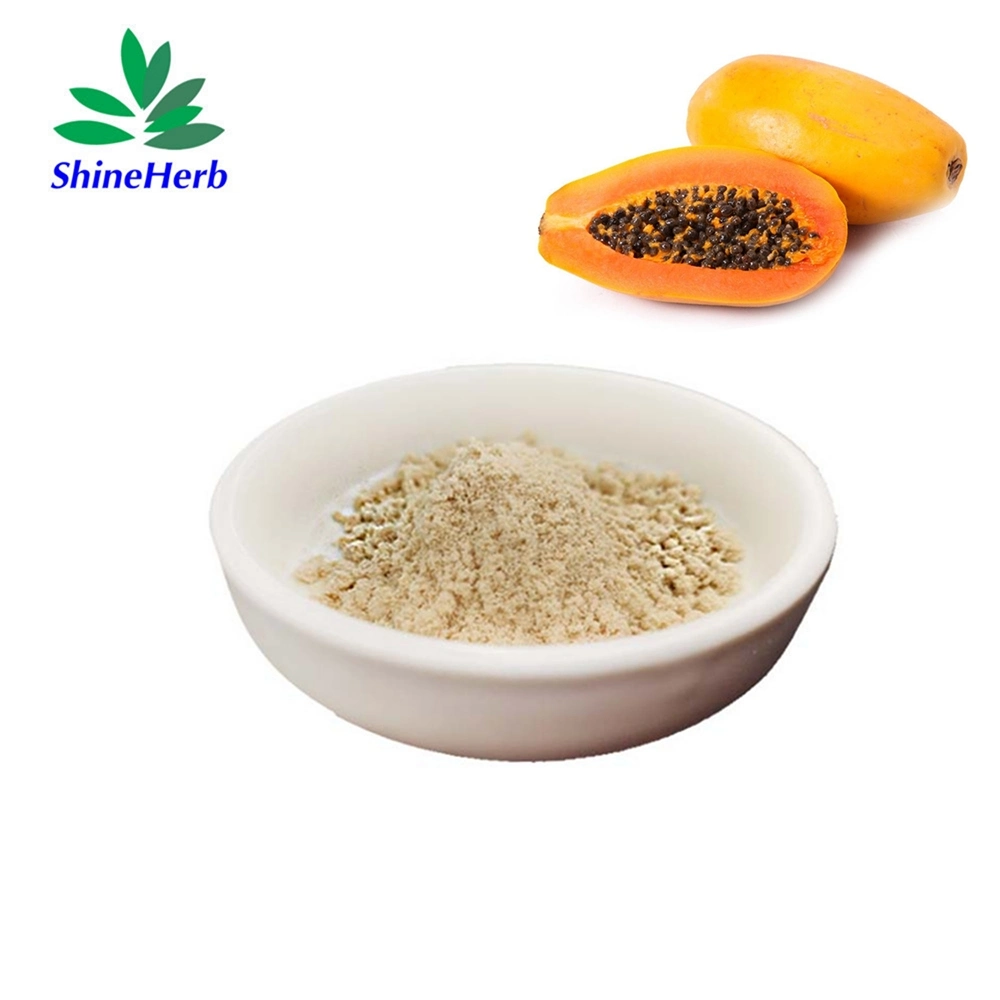 100% Natural Papaya Extract/Papaya Fruit Leaf Extract Powder Papain Enzyme