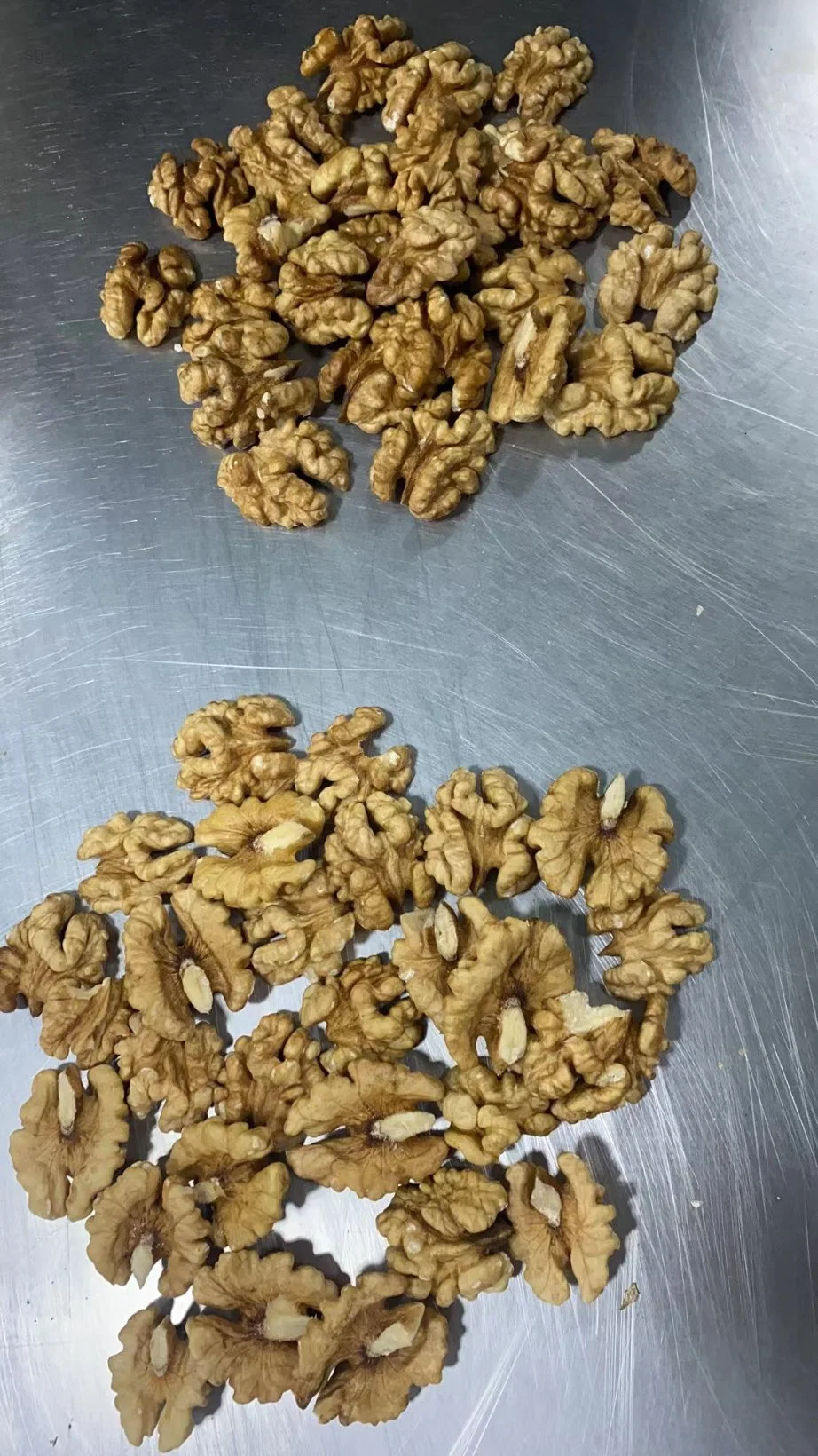 إمداد عامل الكernel الكernels عامل الفواكه العضوية بالجملة Kernel/Meat Walnut Kernels إزالة الغلاف