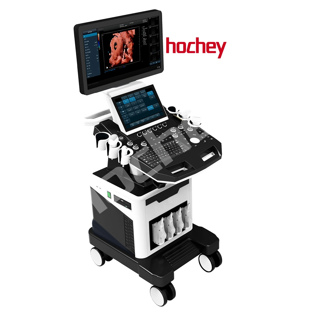 Hochey Medical Easy Operation Multi-Language 3D 4D Portable Ultrasound Machine with Trolley