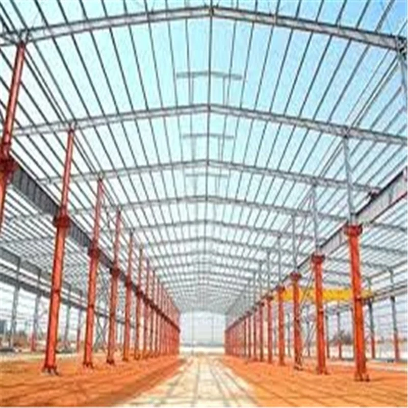 Light Steel Metal Structure for Cow/Pig/Chicken/Chook Shed