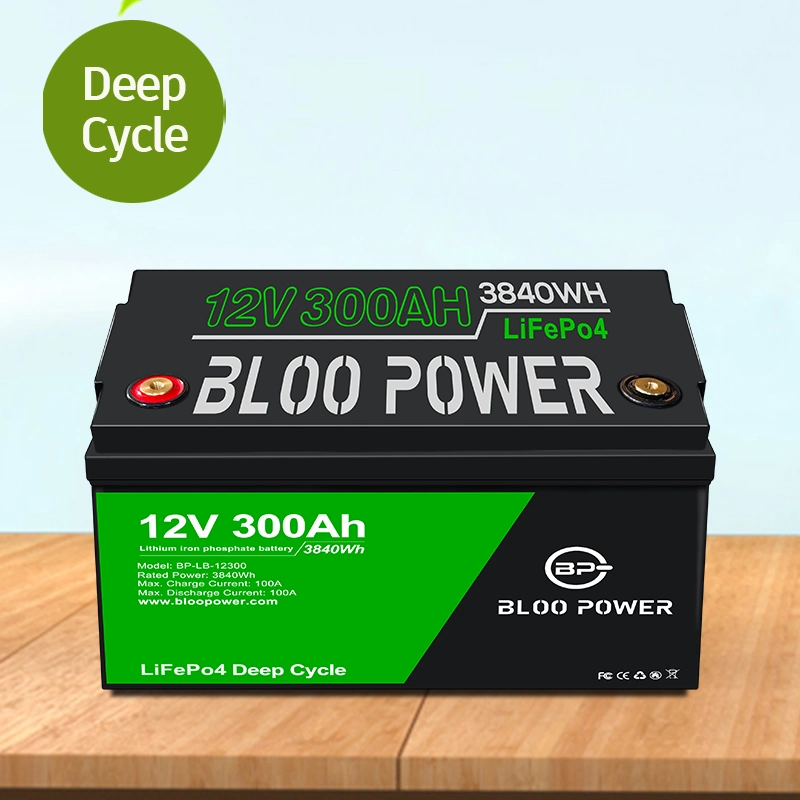 Bloo Power 12 24 Volt Li-ion Li Ion Cell Batteries Pack for House Bicycle Boat Forklift Vehicle Power Tool UPS Special Fire Urban Sanitation Storage