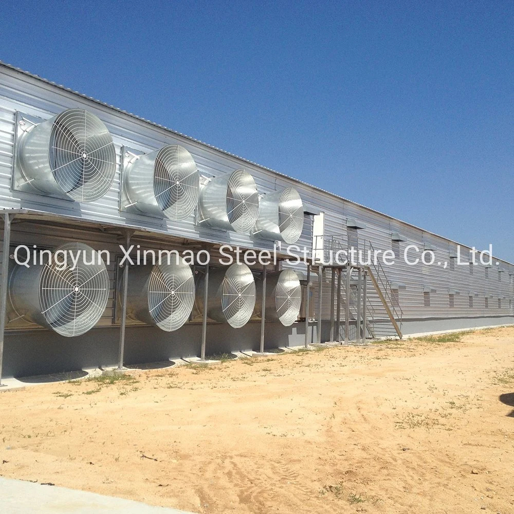 Durable Steel Structure Poultry House Building for Bulk Export