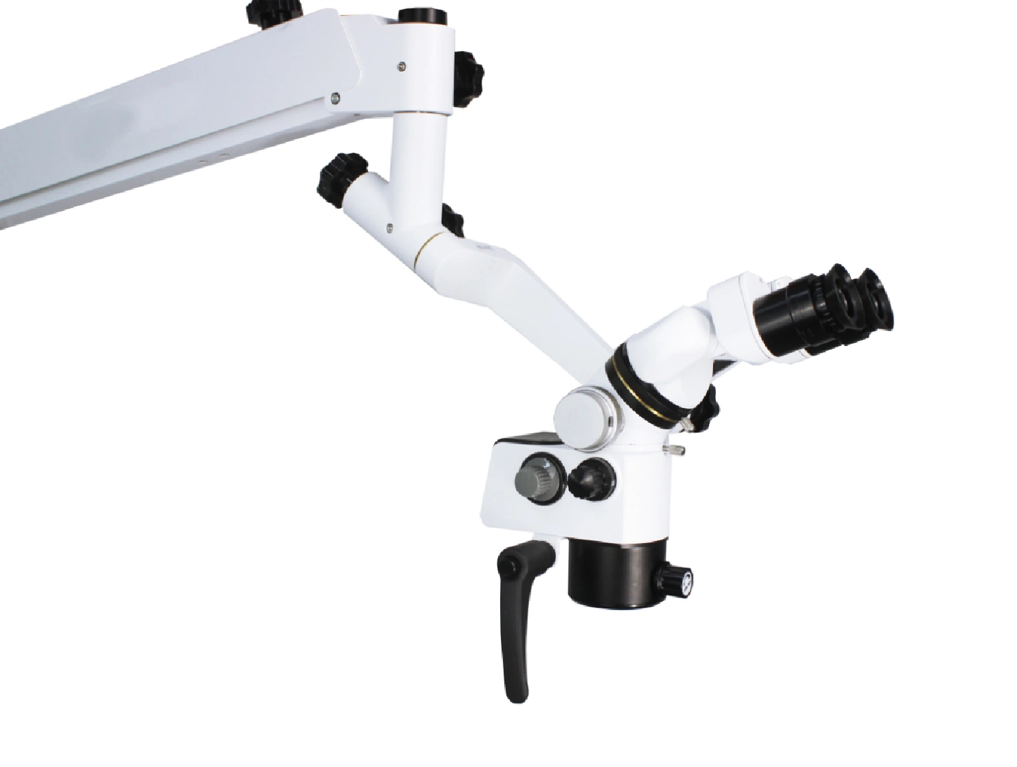 Dental Ent Microcoscopio Oftalmico MS-D640 Dental Operating