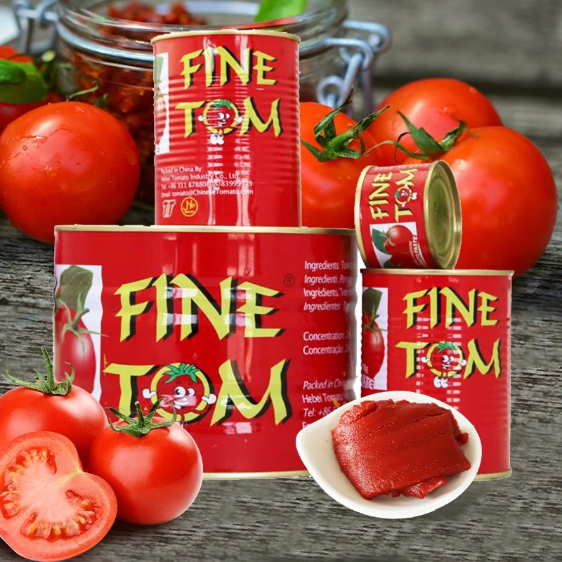 Diferentes tamaños de estaño la pasta de tomate con revestimiento interior amarillo