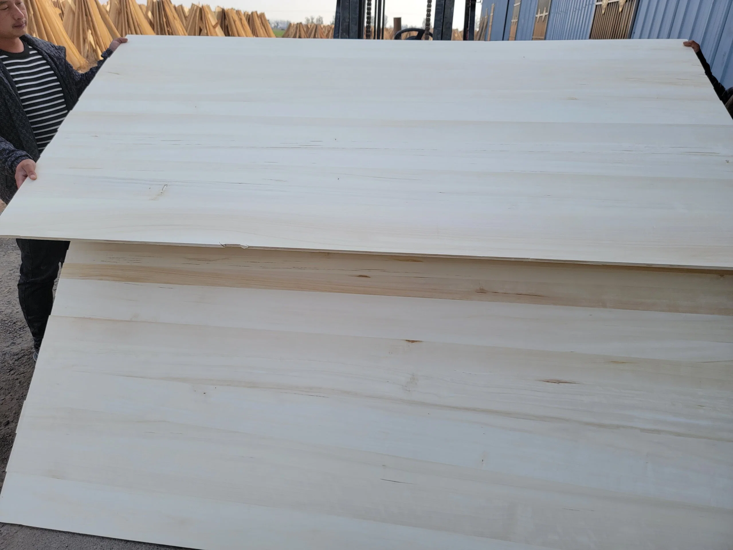 Poplar Lumber Prices Finger Joint Board Wood Panel