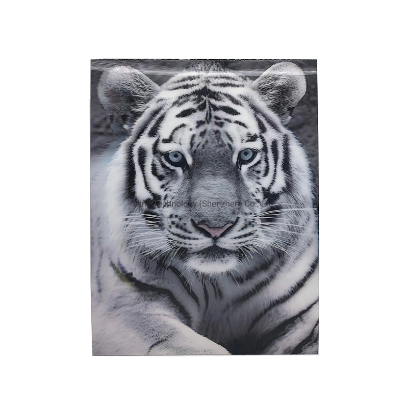 Impressão Lenticular Tigre coloridos Foto com efeito 3D