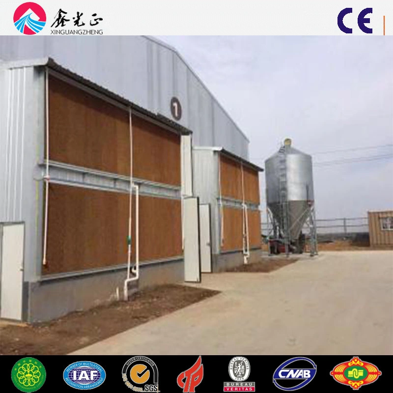 Automatic Cage Rising Broiler Layer Chicken Farm (Q345B/Q235B)