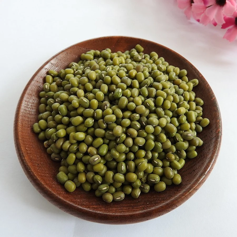 Wholesale/Supplier Dried Green Bean/Round Bean Sprouting Type