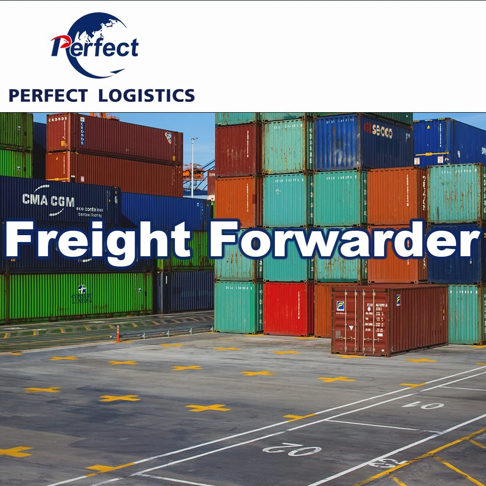 International Freight Shipping Forwarder From China to USA Germany Canada UK France Italy Europe Cargo Cheap Express Agent