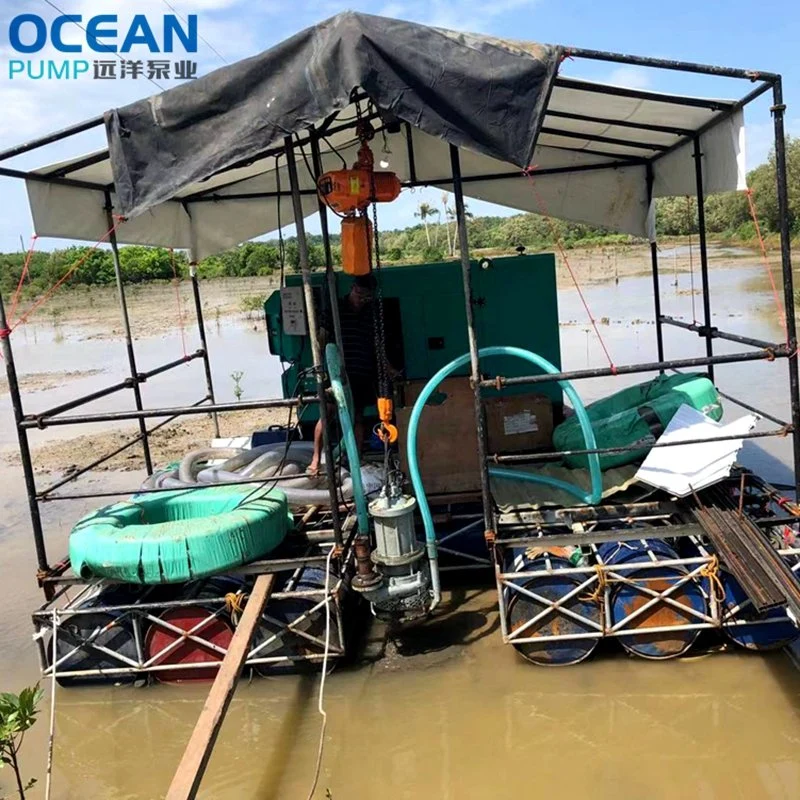 Le dragueur de sable sous-marin le plus populaire pour le dragage de sable en mer avec un équipement de dragage de sable océanique et une pompe de dragage de sable submersible à un prix abordable.