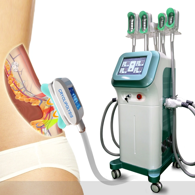 Hot Selling Body Beauty Cryolipolysis Cool Body Fat Reduction Equipment