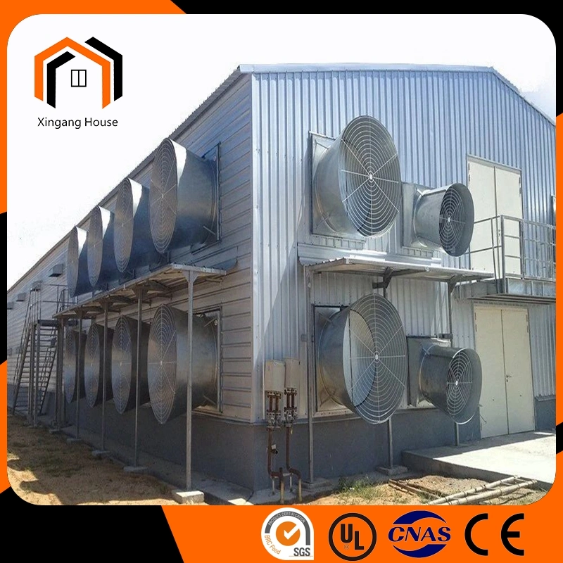 High quality/High cost performance  Sandwich Panel Color Tile Structural Steel Fabrication Egg Layer Farm House