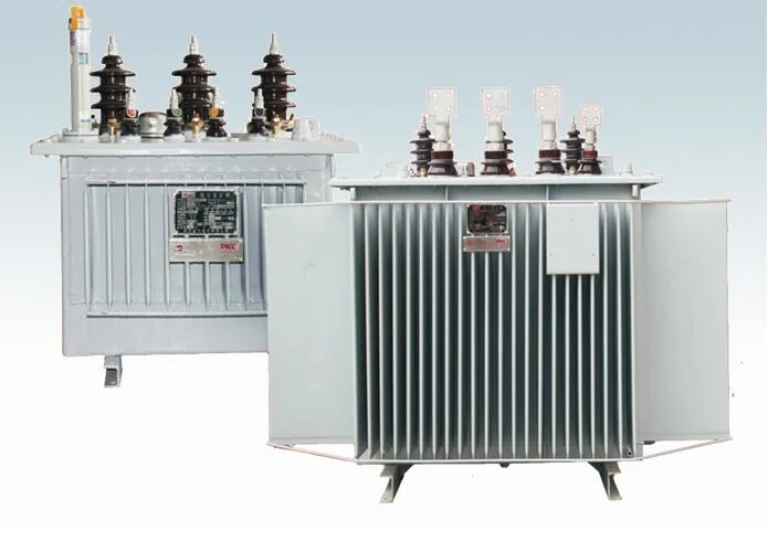 6-10 Kv Power Transformer and Distribution Transformer with Oil Type and Dry Type