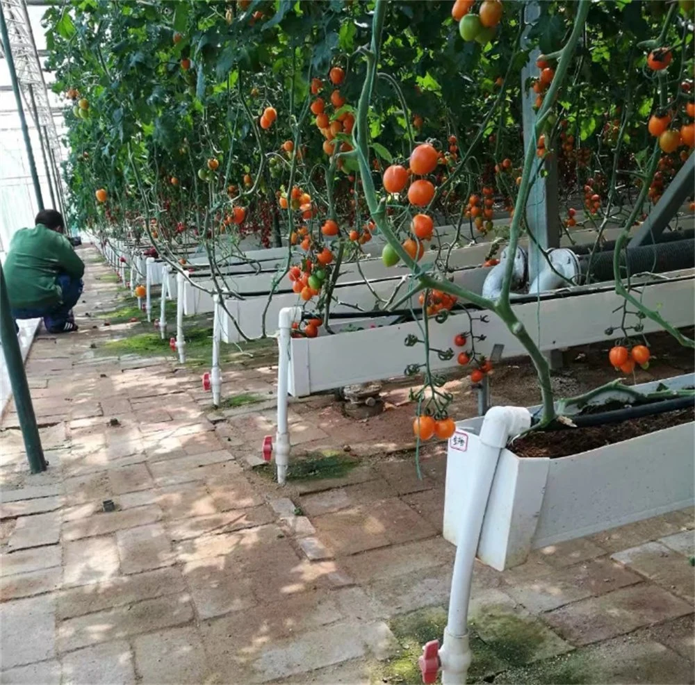 Commercial Strawberry Planting PVC Gutter Hydroponics Growing System