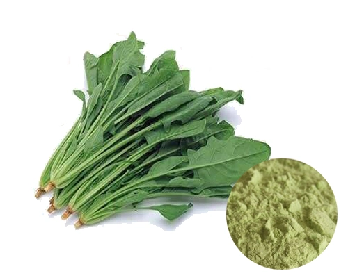 100% Natural Spray Drying Vegetable Powder Spinach Powder