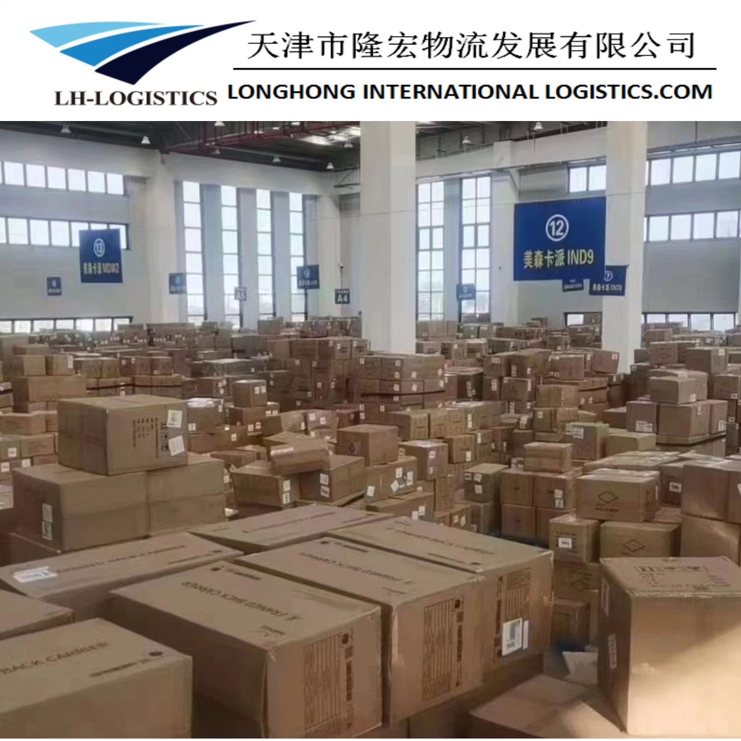 Amazon Fba DDP Amazon Logistics Fast and Safe Shipping Agent Shipping From China to The United States