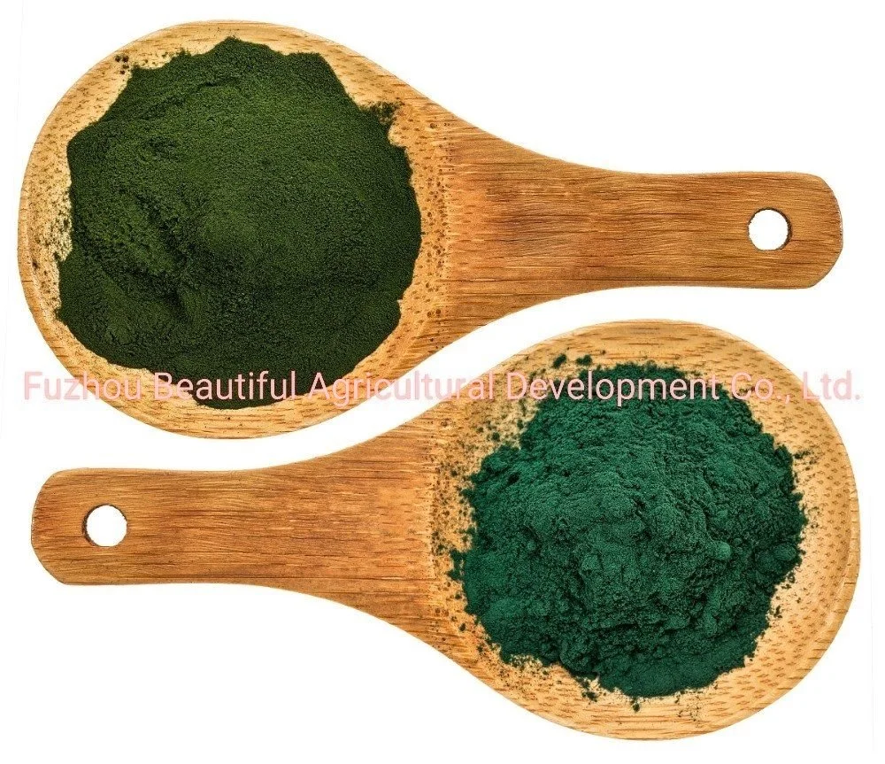 Dark Green Color Plant Extract 100% Pure Organic Spirulina Powder