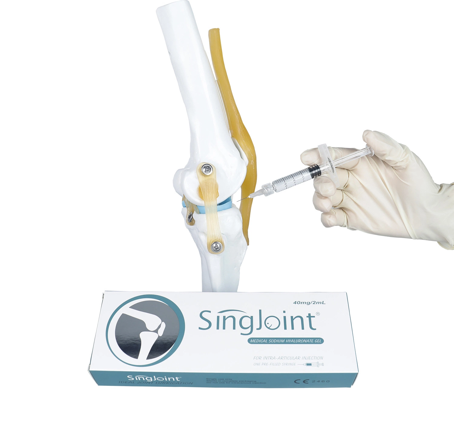 Singjoint Manufacture Sodium Hyaluronate Gel Bone Injection for Osteoarthritis