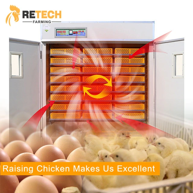Avícola elevar frangos incubadora de ovos automática para 5000 ovos