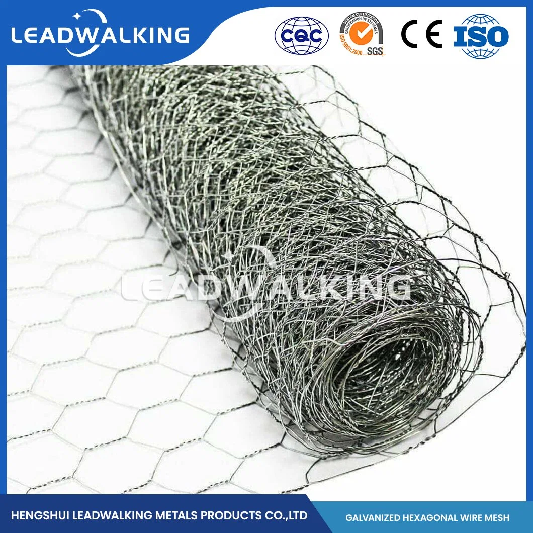 Leadwalking China 48 Inch Poultry Netting Manufacturers Mild Steel Wire 16mm Mesh Professional Galvanized PVC Coated Hexagonals Wire Mesh Cage for Poultry