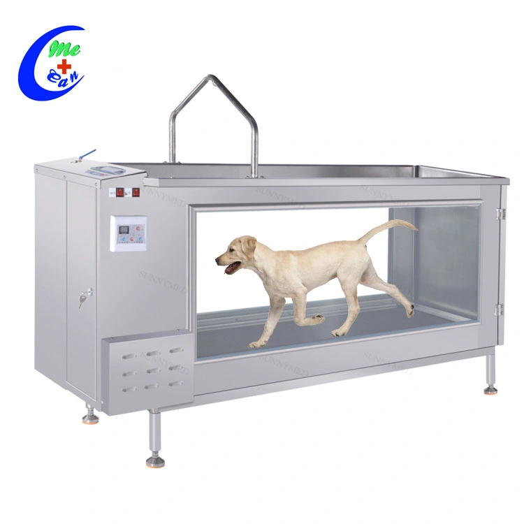 Factory Price Dog Treadmill Pet Hydrotherapy Treadmill Dog Underwater Treadmill