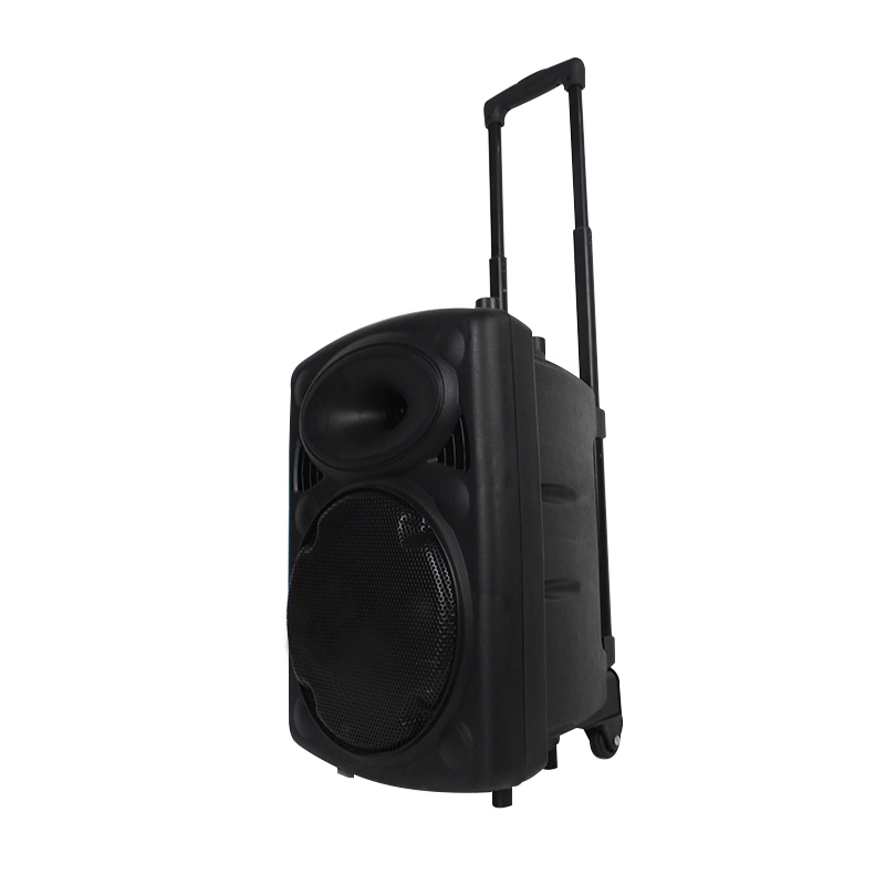 10 Inches Public Address Active Wireless Microphone Bluetooth Trolley Speaker